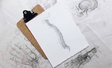 A drawing of a spine on a clipboard.